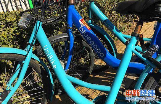 深圳交委:滴滴在深投放小蓝单车现属违规-北京