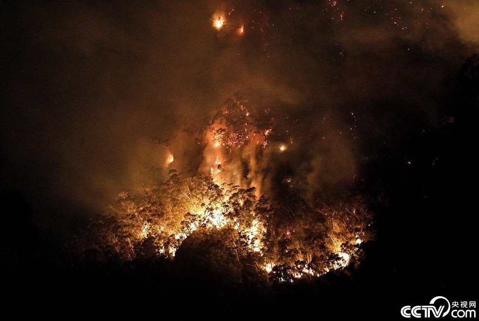 当地时间2019年12月2日，澳大利亚新南威尔士州Blue Mountains，当地林火持续肆虐。