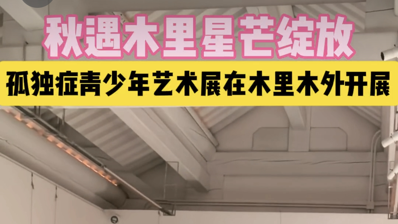 “秋遇木里 星芒绽放 孤独症青少年艺术展在木里木外开展 “秋遇木里 星芒绽放 孤独症青少年艺术展在木里木外开展