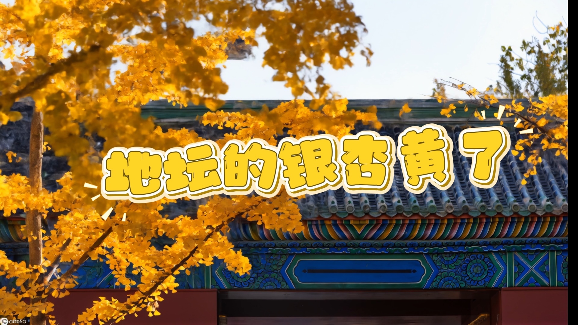 金秋限定，地坛公园的银杏大道美翻啦！