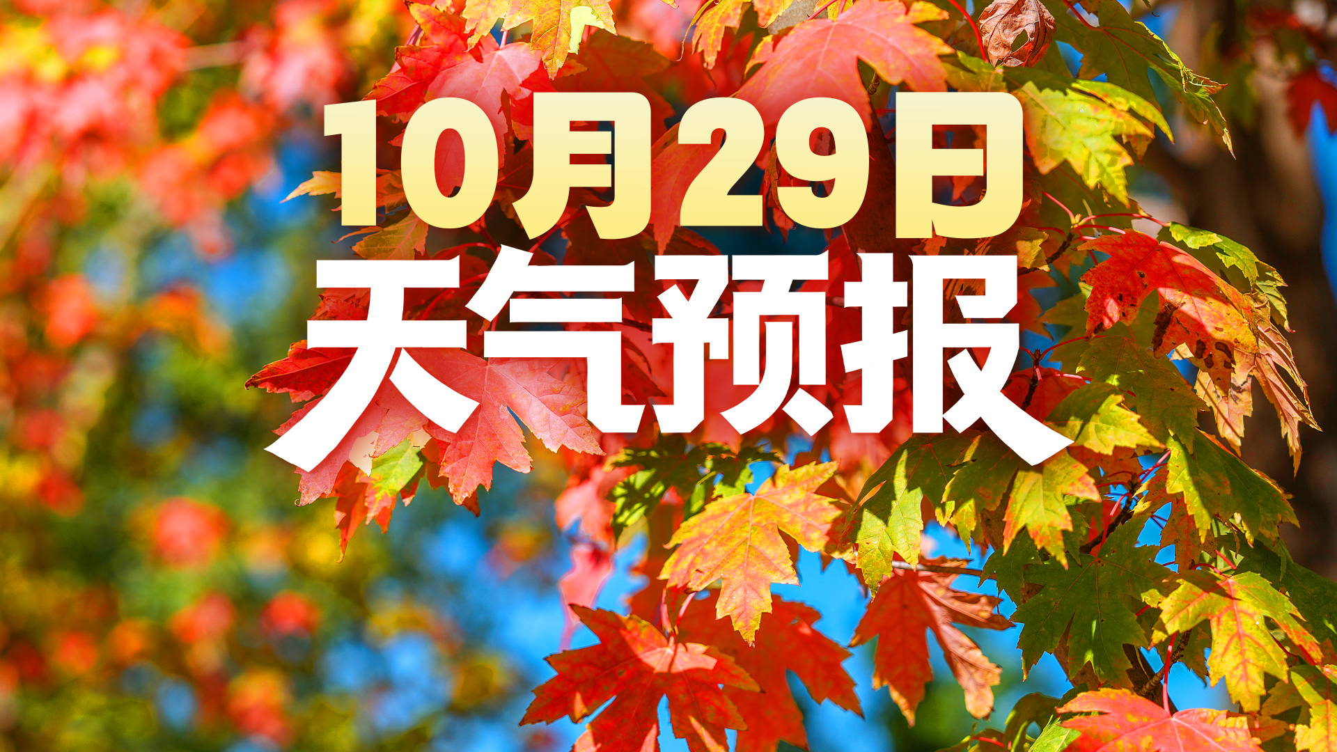 晴好在线气温回升，郊野赏秋正当时