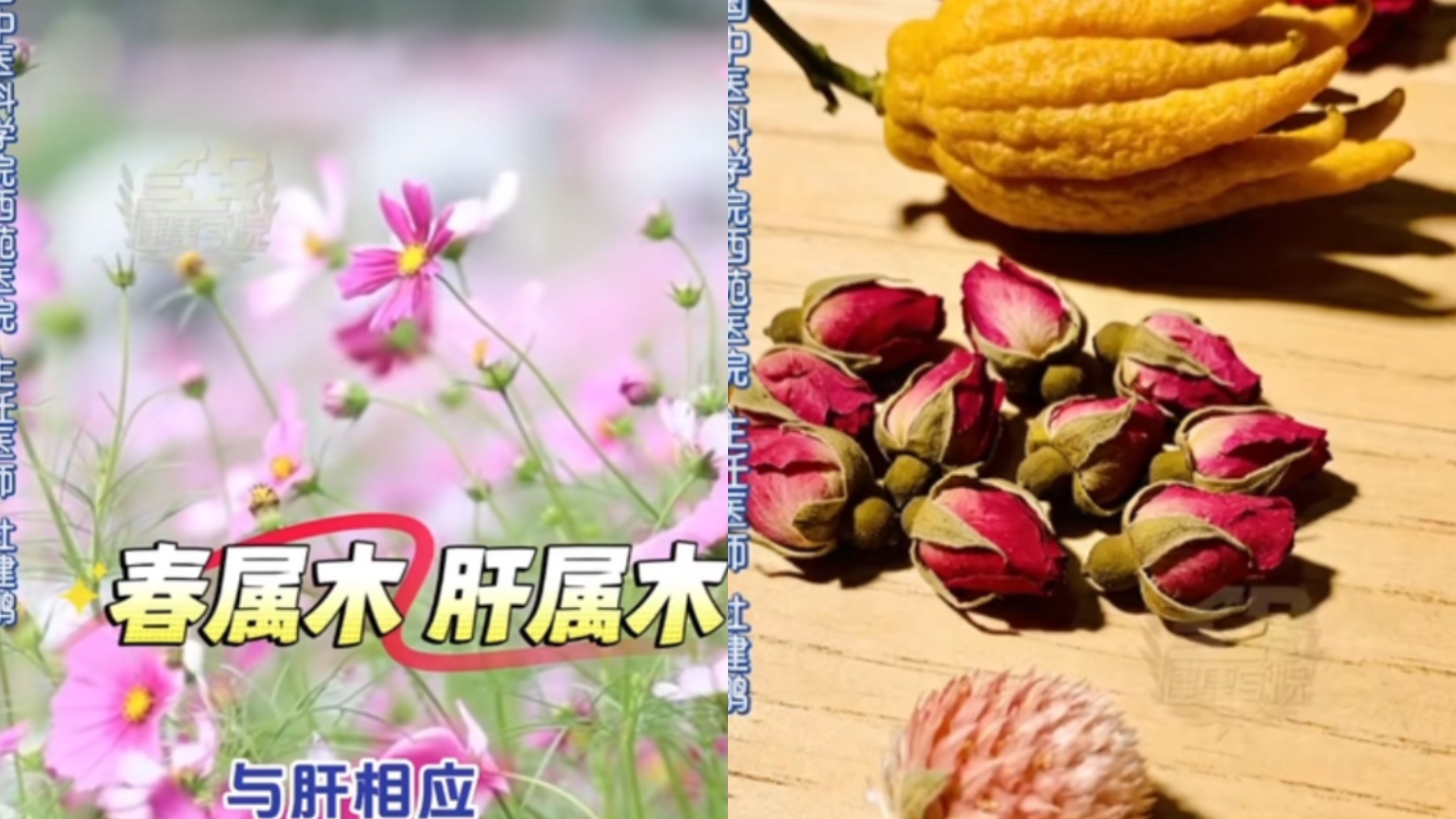不在状态爱焦虑？一杯“花”茶唤醒活力