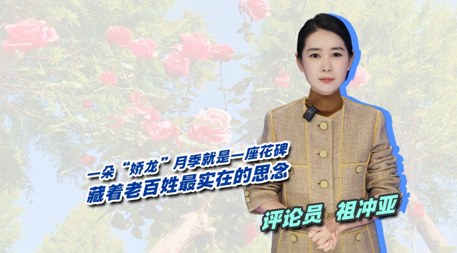 一朵“娇龙月季”就是一座花碑:藏着老百姓最实在的思念 一朵“娇龙月季”就是一座花碑:藏着老百姓最实在的思念