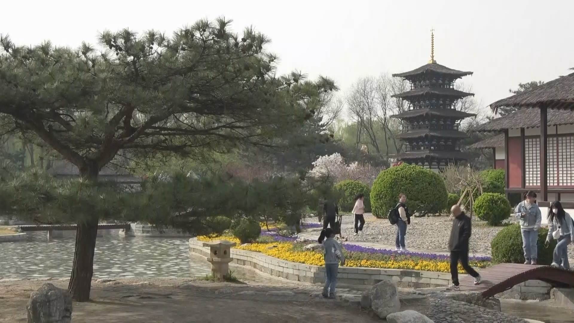北京世界公园“赏花踏青季”拉开帷幕