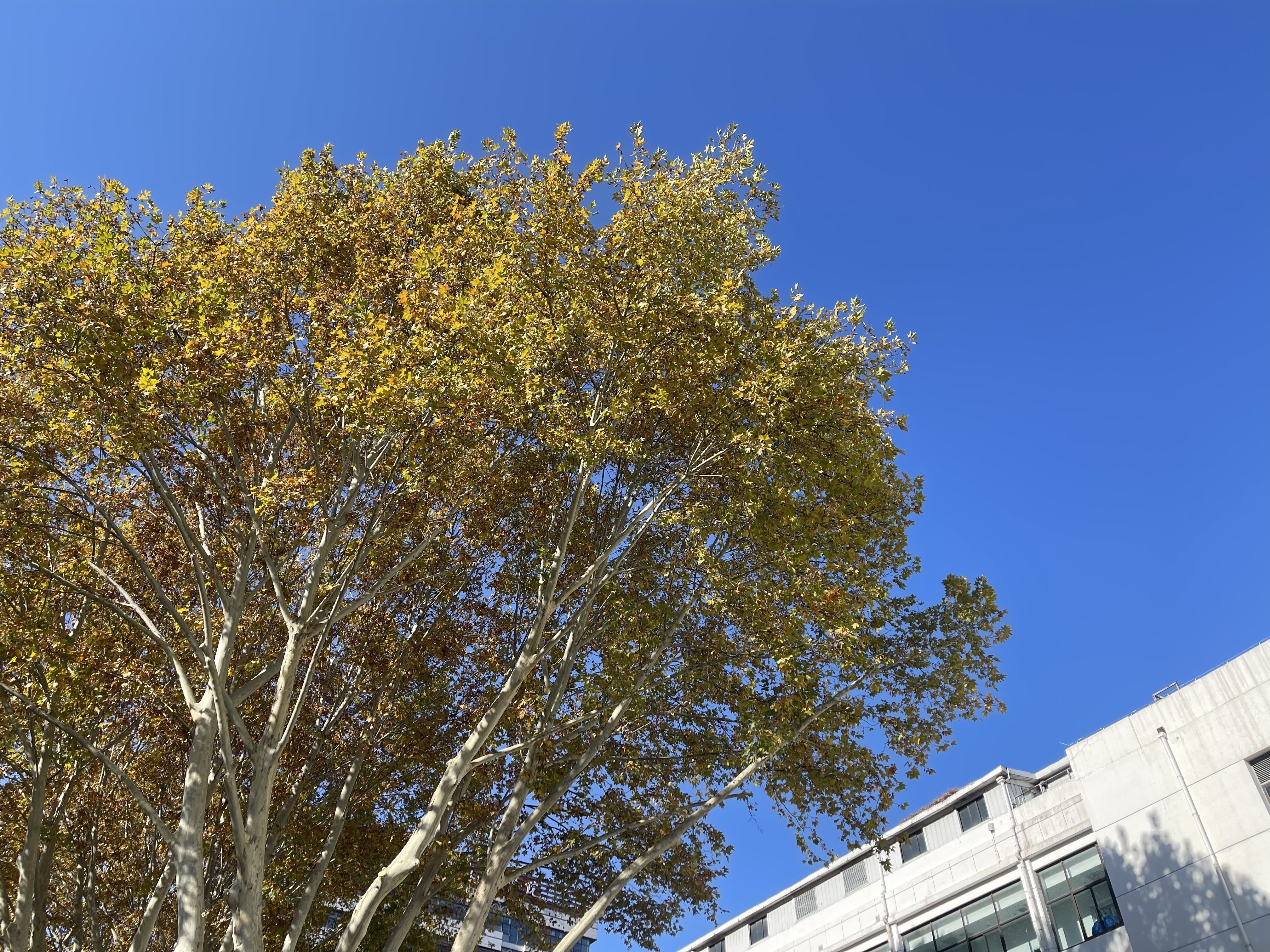 抓住今天的冬日暖阳,冷空气又来了—— 抓住今天的冬日暖阳,冷空气又来了——