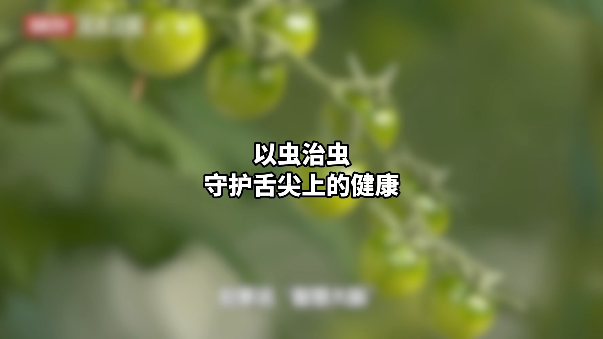 以虫治虫，守护舌尖上的健康