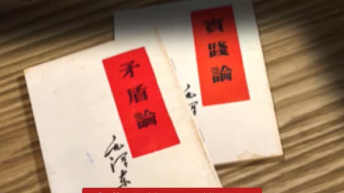 瑞典小伙用思维导图，记下满满一本 “ 两论 ” 读后感
