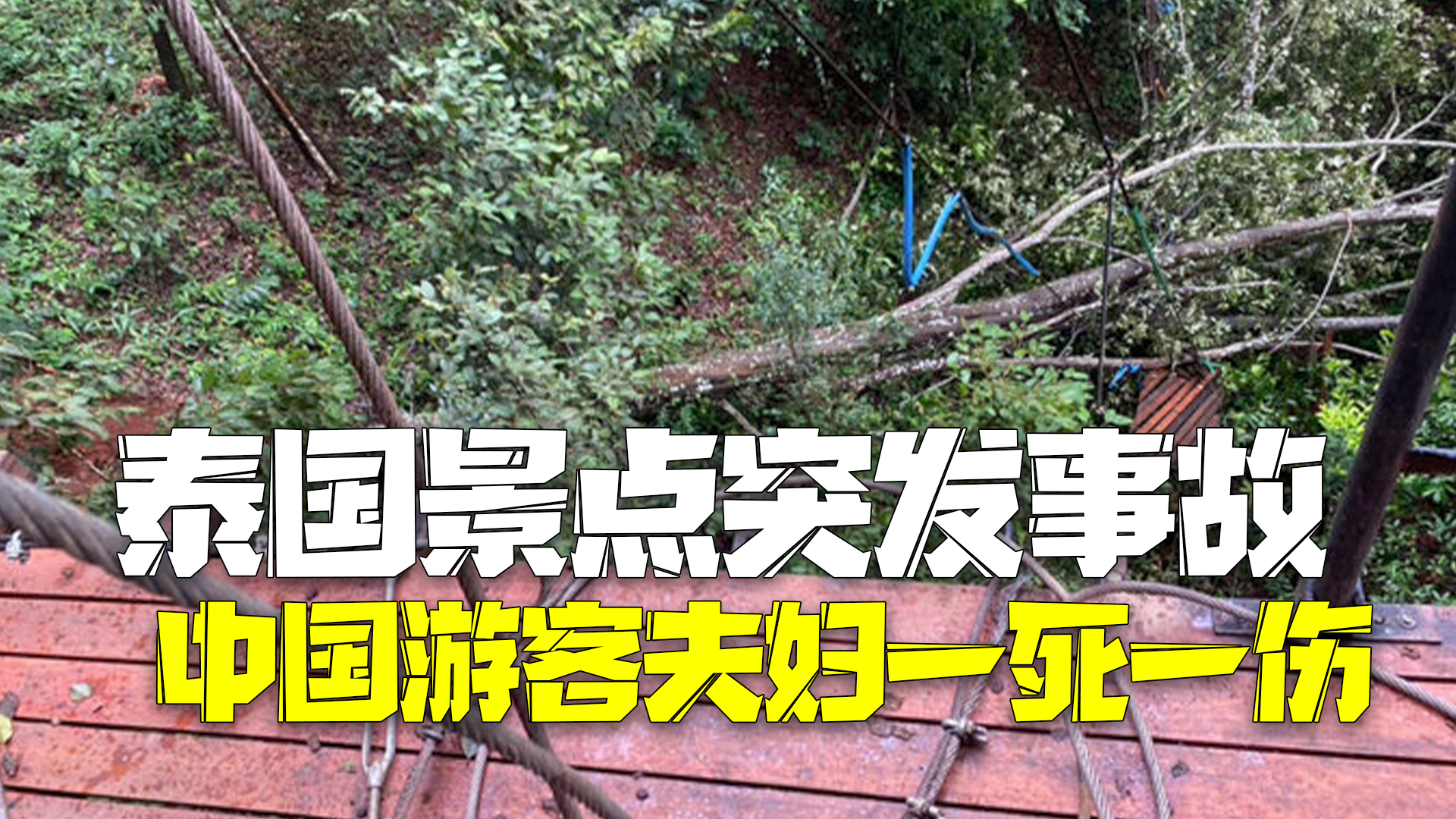 泰国一丛林飞跃景点大树倒下砸到索道 致中国游客夫妇一死一伤 泰国一丛林飞跃景点大树倒下砸到索道 致中国游客夫妇一死一伤
