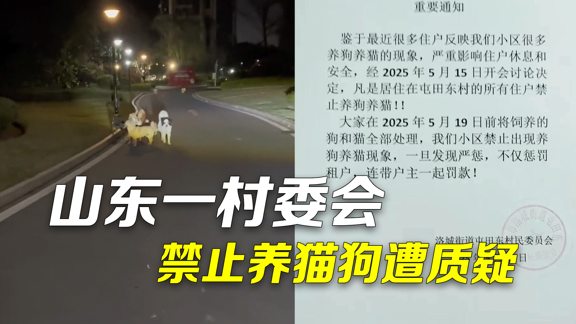 村委会禁止小区居民养猫狗遭质疑 物业：猫狗扰民，开村民代表会定的