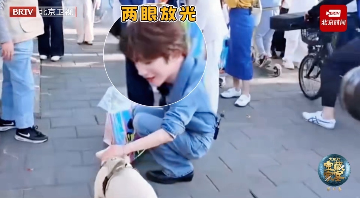 刘宇看到小狗就走不动道