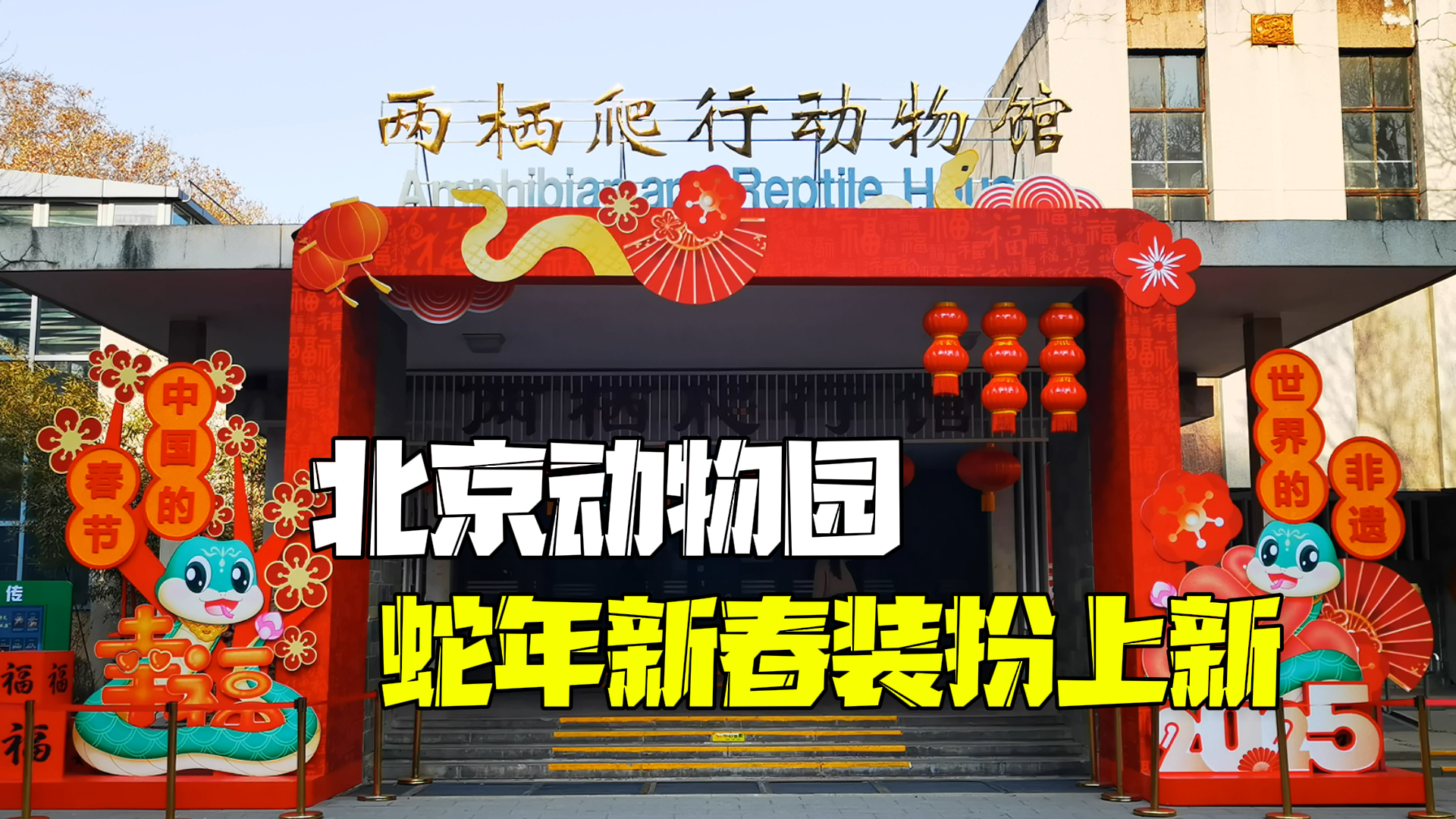 北京动物园蛇年新春装扮上新 将推出蛇年纪念门票和文创新品