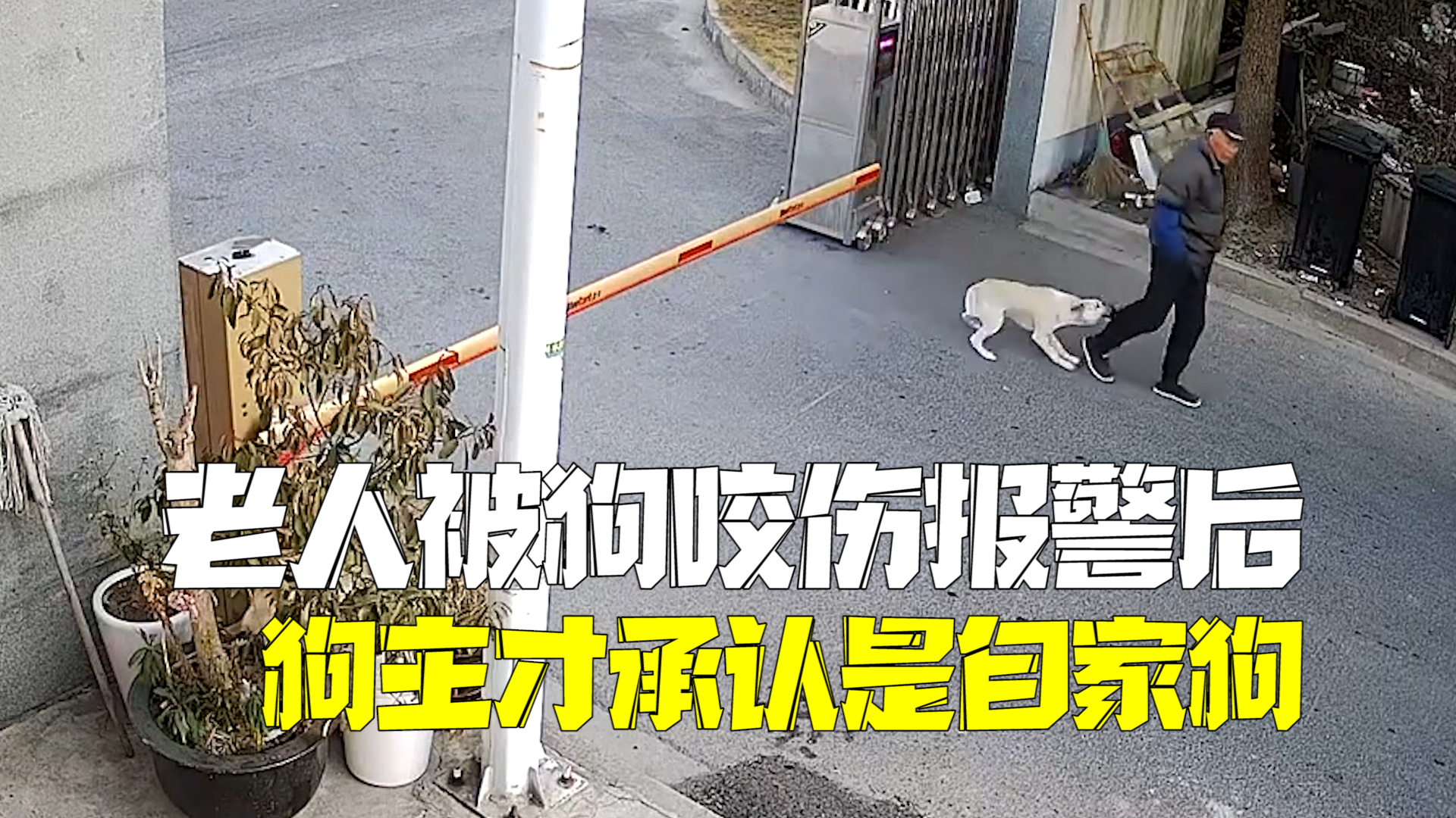 91岁老人外出遛弯被狗咬伤 家人：狗没拴绳，调监控后狗主人才承认狗是他家的