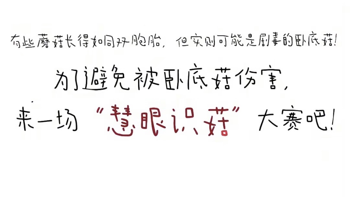 2024科学传播大赛 优秀作品展示 《世界需要蘑菇》 2024科学传播大赛 优秀作品展示 《世界需要蘑菇》