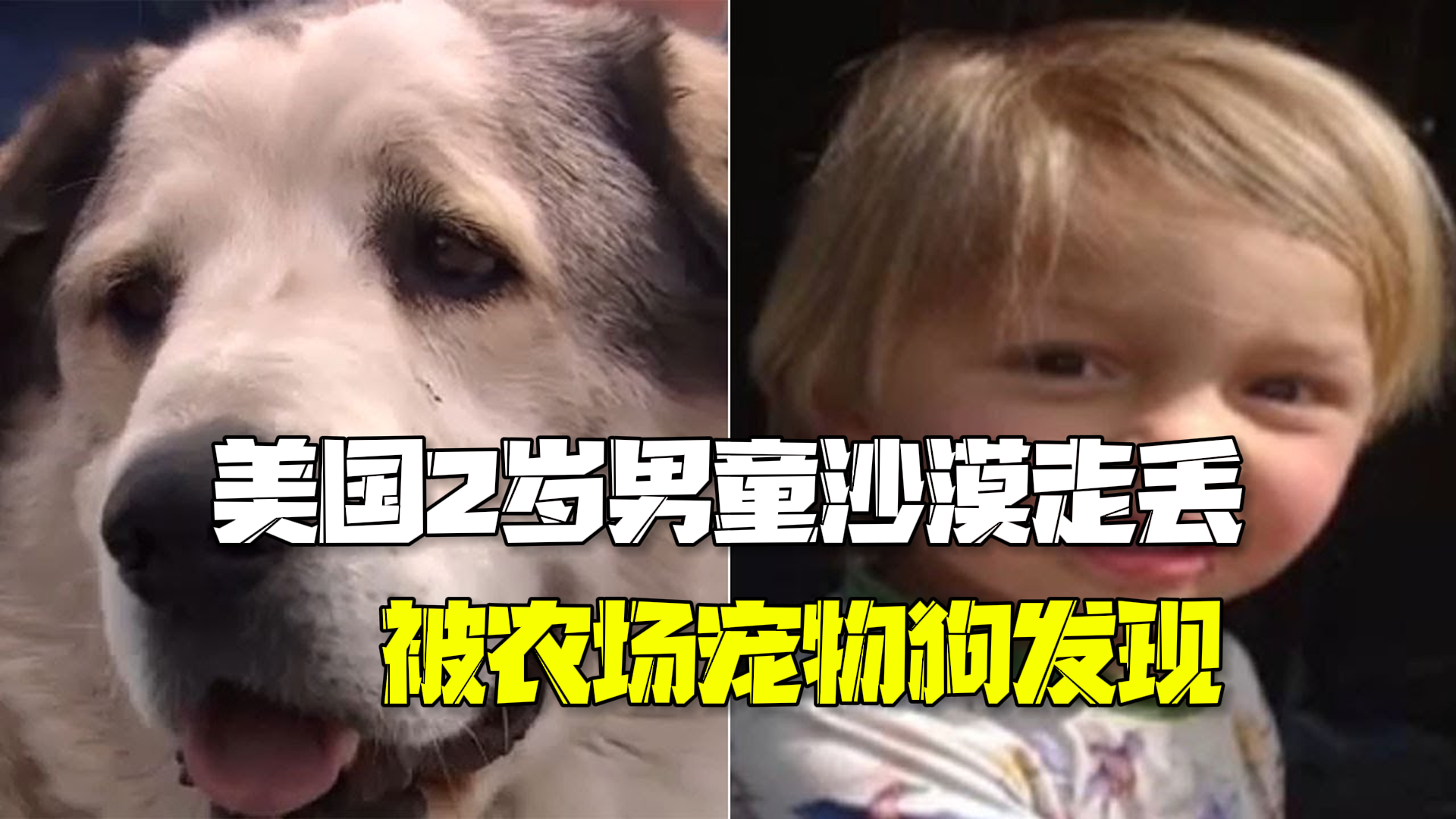 美国2岁男童沙漠地带走丢 16小时后被农场宠物狗发现 美国2岁男童沙漠地带走丢 16小时后被农场宠物狗发现