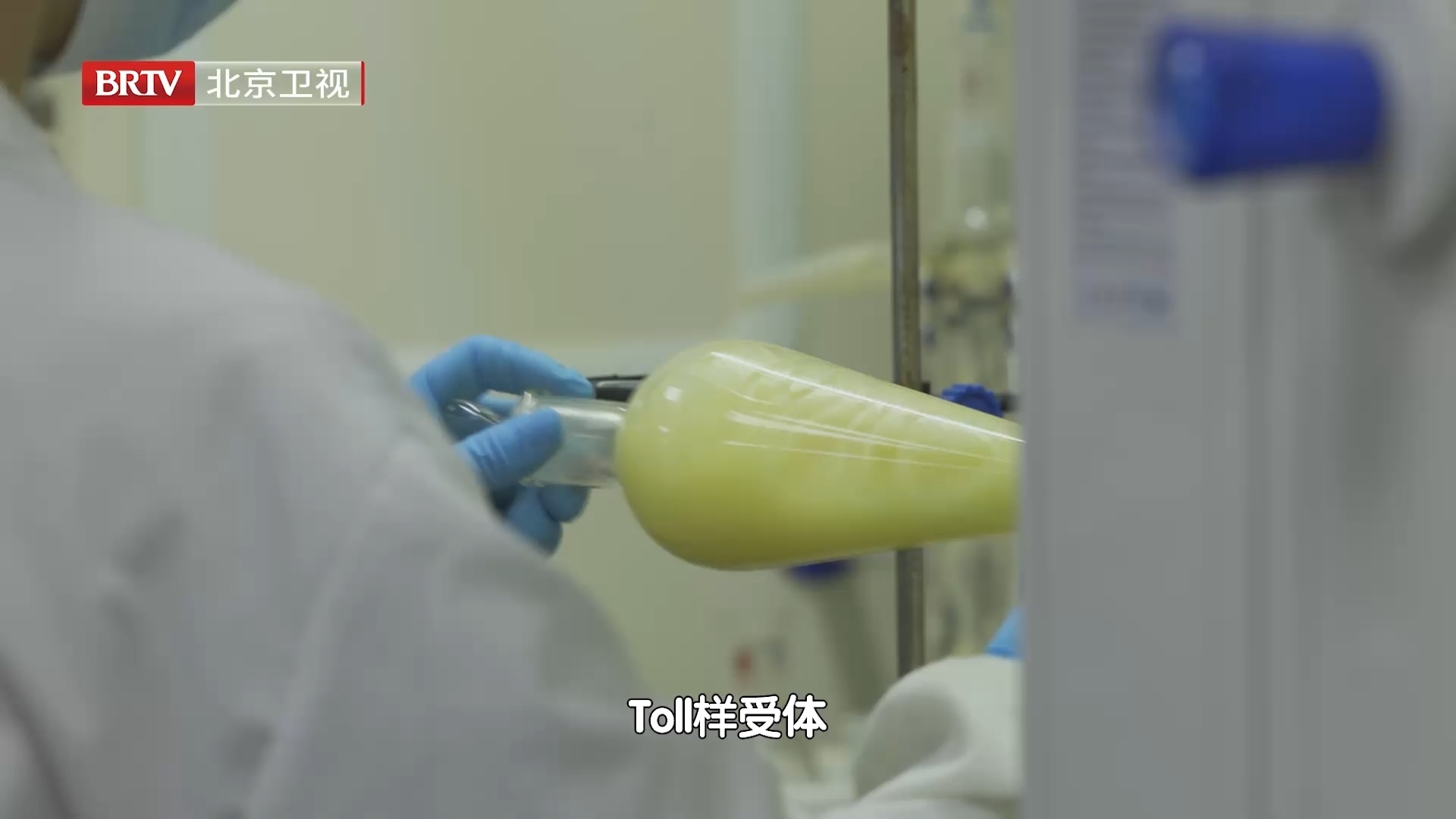 Toll样受体：人体免疫防御的“识别者”与“启动器”