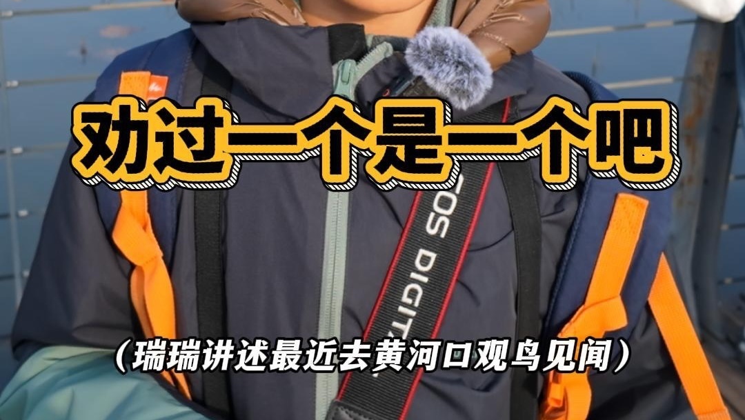 再致鸟死亡！无人机对鸟的干扰和伤害有多大？