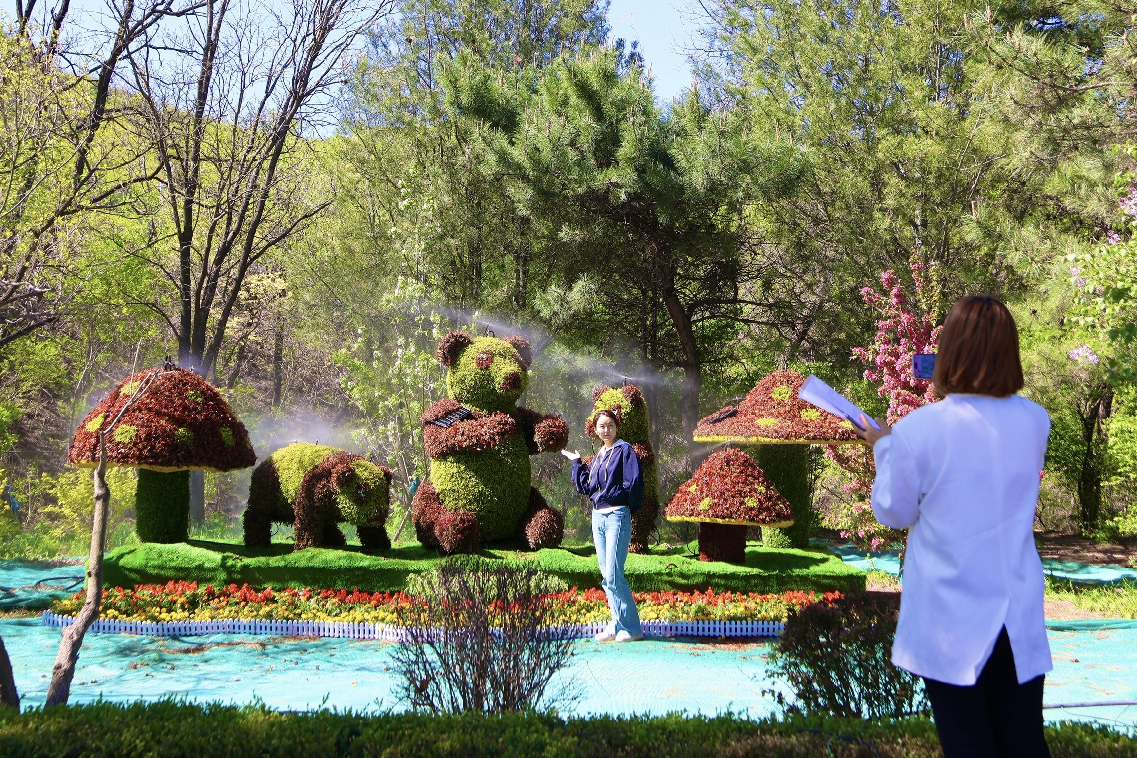 五一上新｜八达岭花漾登场：雄关映翠，龙腾盛世！