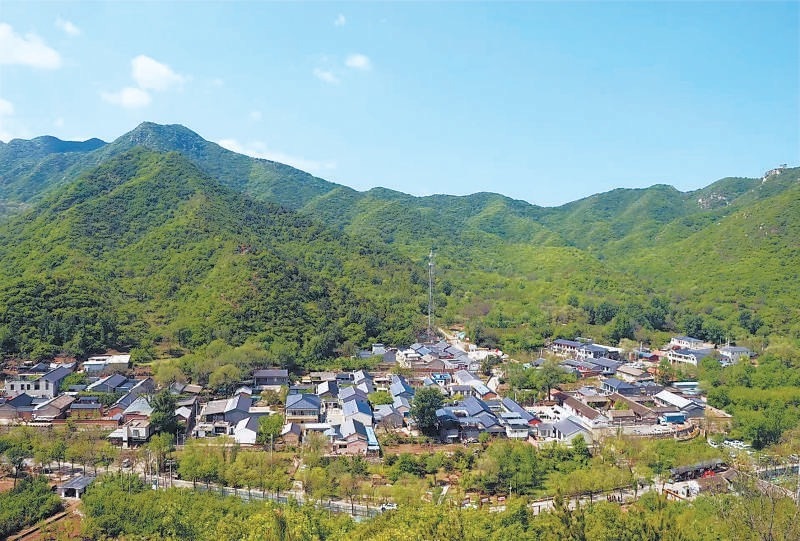 全线98公里北京延庆打造观长城森林步道 全线98公里北京延庆打造观长城森林步道