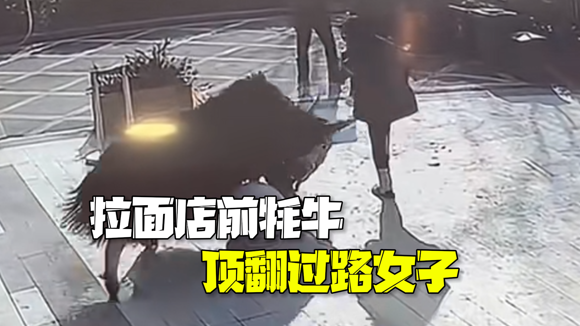 商家回应拉面店门口牦牛顶翻过路女子:会积极道歉赔偿 商家回应拉面店门口牦牛顶翻过路女子:会积极道歉赔偿