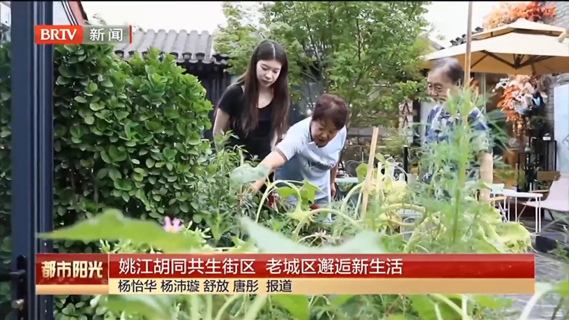 【胡同里·面】姚江胡同共生街区  老城区邂逅新生活