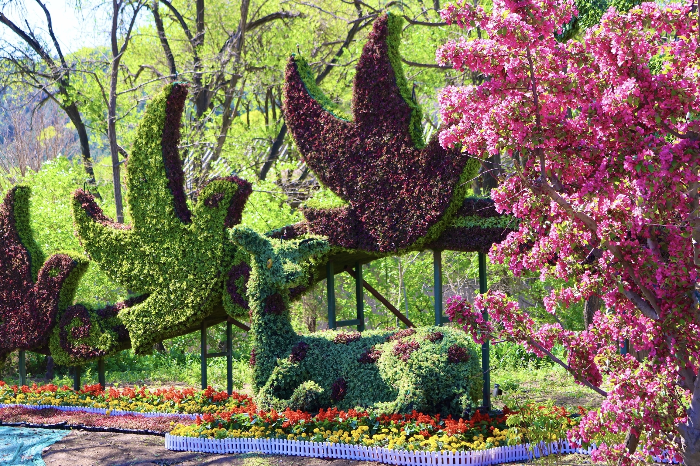 五一上新｜八达岭花漾登场：雄关映翠，龙腾盛世！