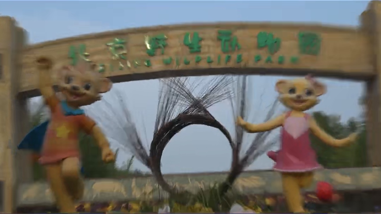 北京野生动物园小熊猫萌力全开!文创周边把可爱 “打包” 带回家 北京野生动物园小熊猫萌力全开!文创周边把可爱 “打包” 带回家