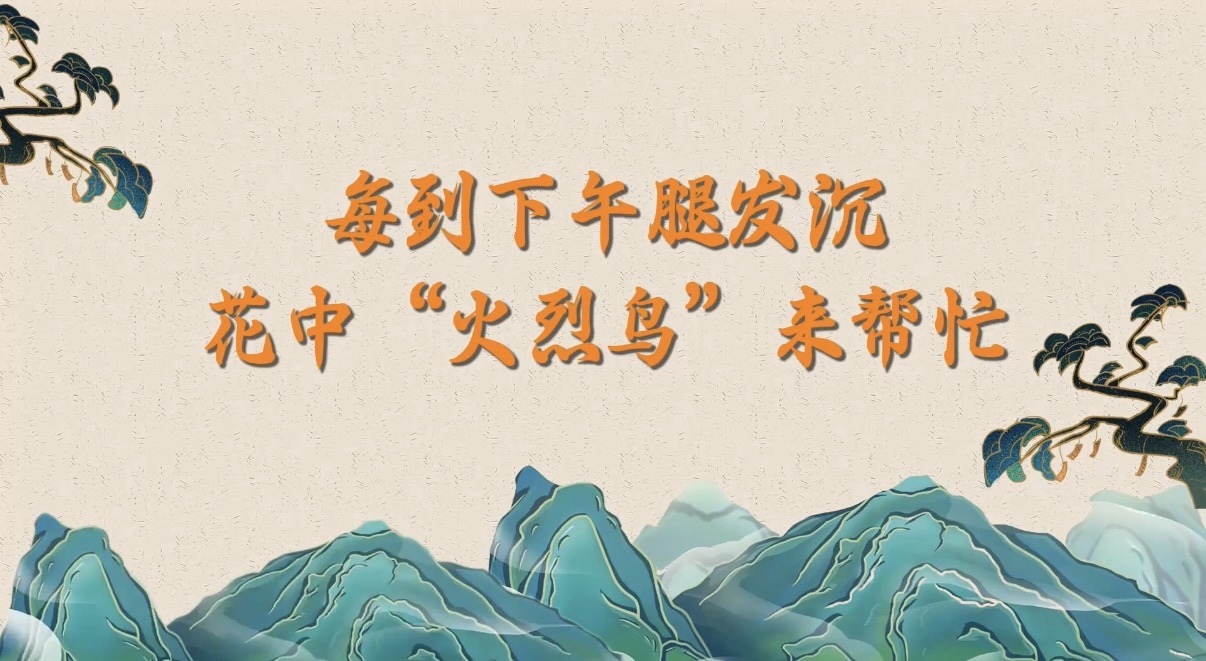 每到下午腿发沉？花中“火烈鸟”来帮忙