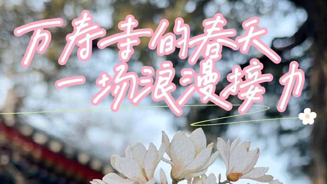 花开京城万物新 |万寿寺的春天,一场浪漫接力 花开京城万物新 |万寿寺的春天,一场浪漫接力
