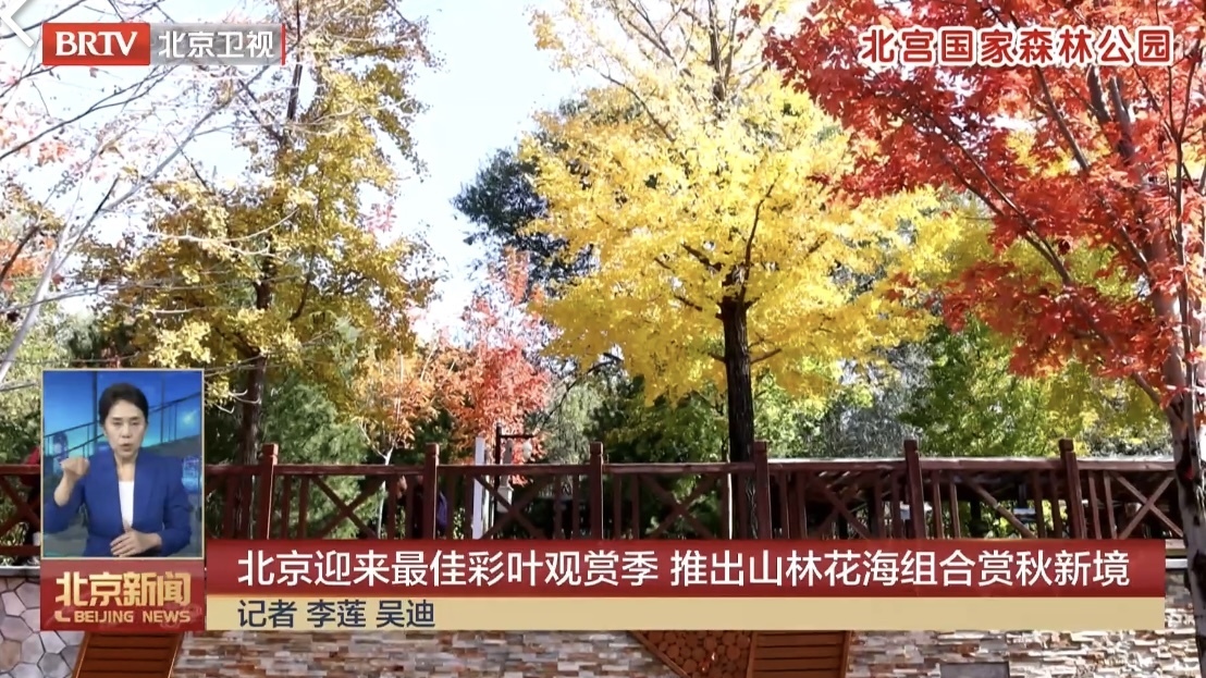 北京推出“八山八海”赏秋新境解锁多彩秋日美景