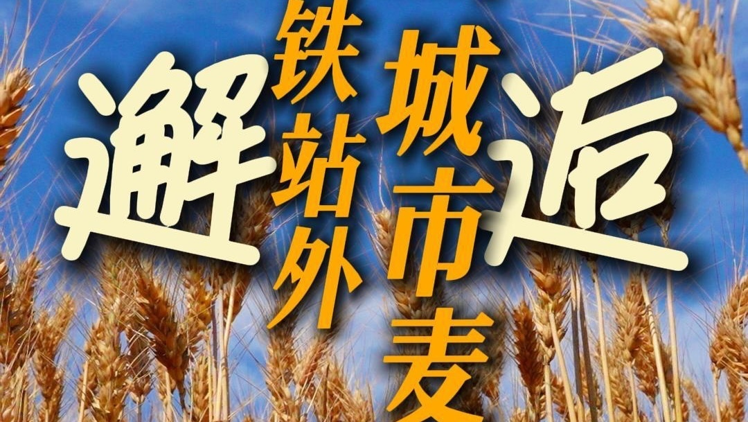 在北京地铁站外邂逅城市麦田