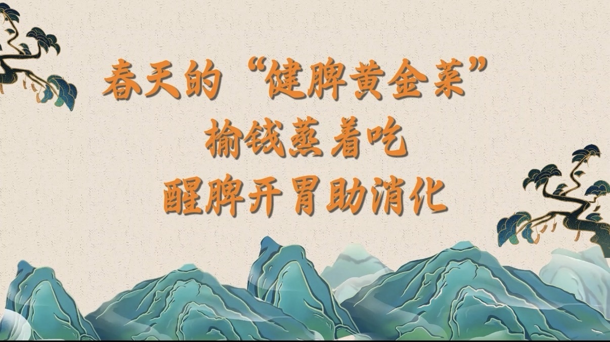 春天的“健脾黄金菜”!榆钱蒸着吃,醒脾开胃助消化! 春天的“健脾黄金菜”!榆钱蒸着吃,醒脾开胃助消化!