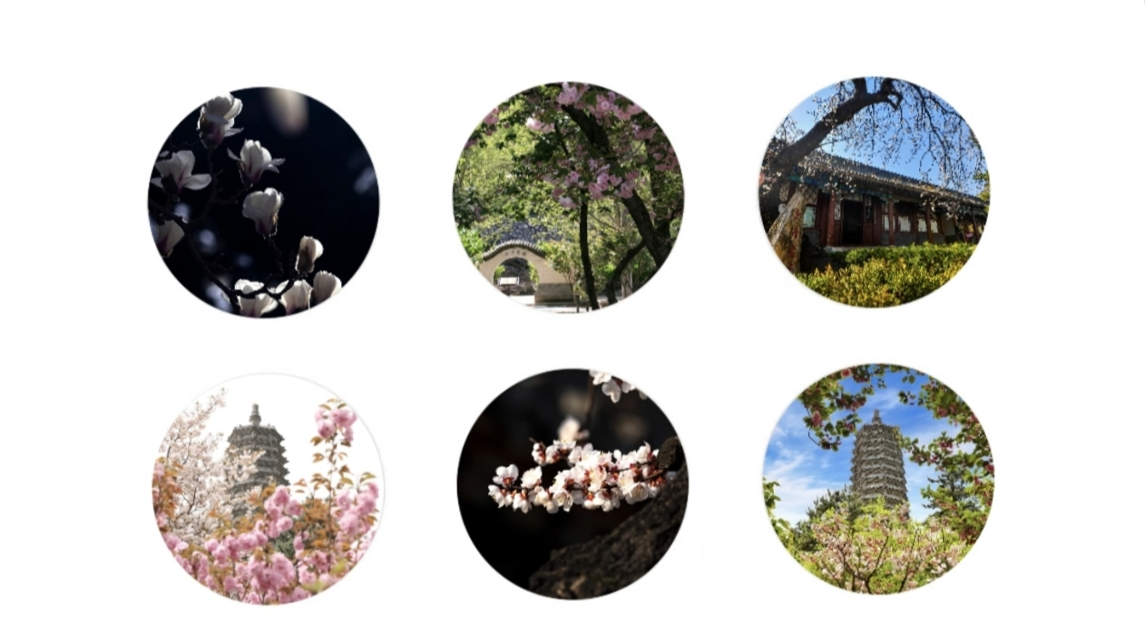 这个季节，恰似云居寺最美时节！