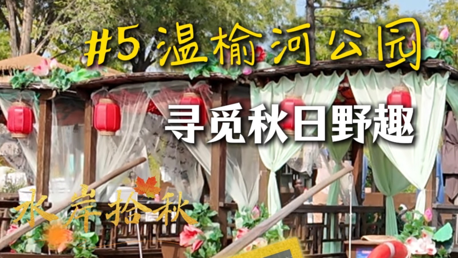 水岸拾秋｜温榆河公园：寻觅秋日野趣