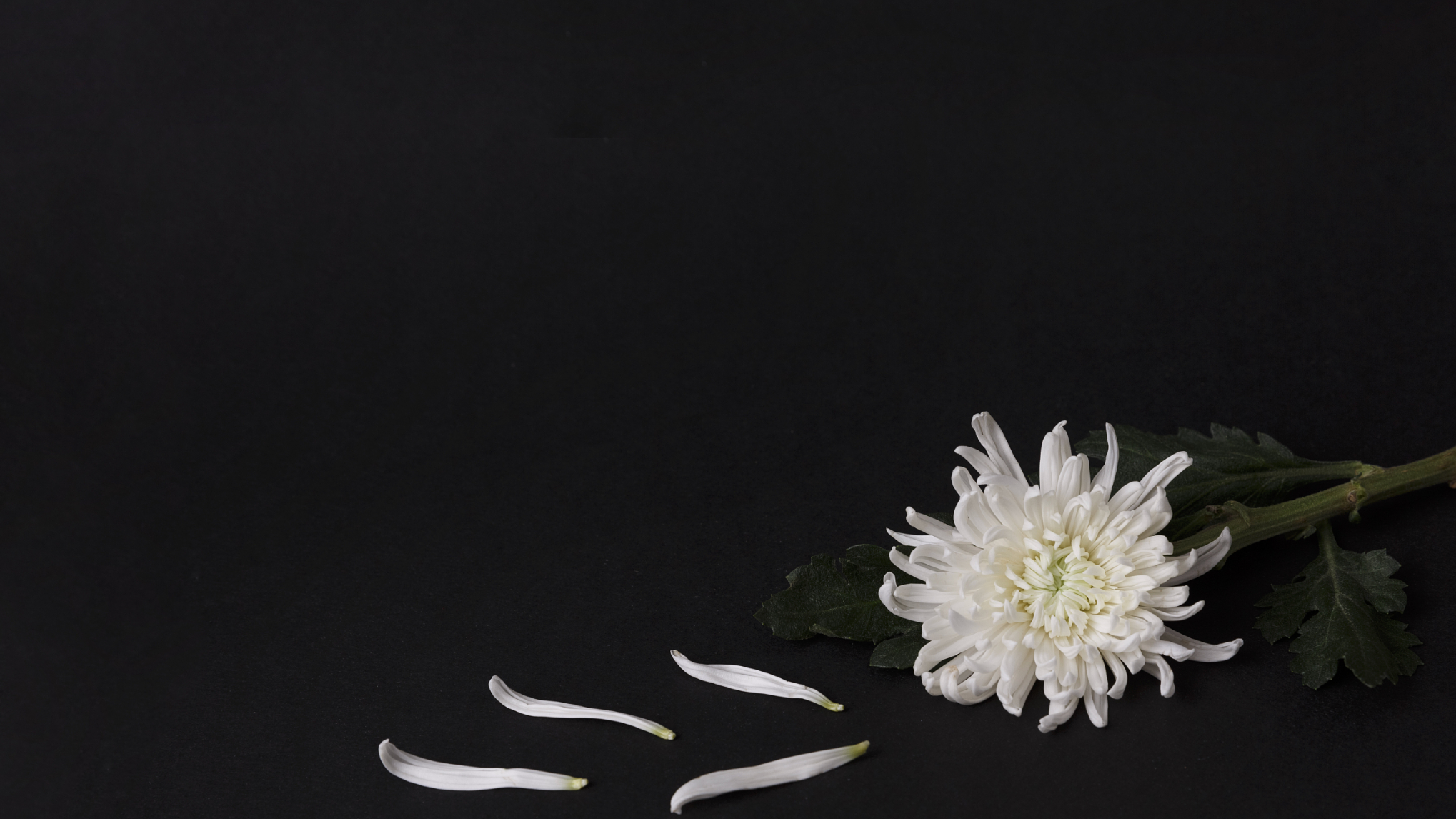 “人民楷模”国家荣誉称号获得者王启民逝世,享年87岁 “人民楷模”国家荣誉称号获得者王启民逝世,享年87岁