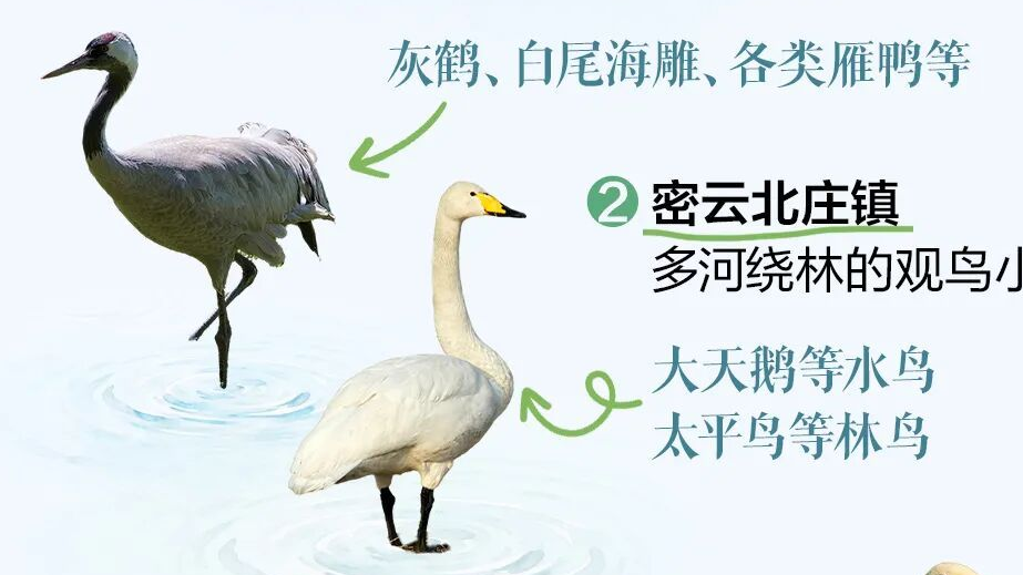 赏完秋色,该来“打鸟”了!送您观鸟地图 赏完秋色,该来“打鸟”了!送您观鸟地图