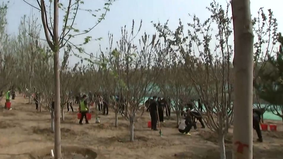 共和国部长在京义务植树 殷勇参加