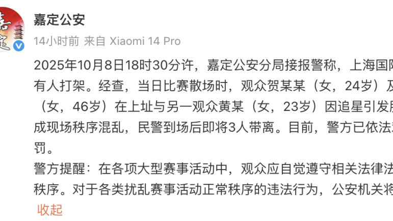 上海国际赛车场外广场有人打架，警方通报：三人被行政处罚