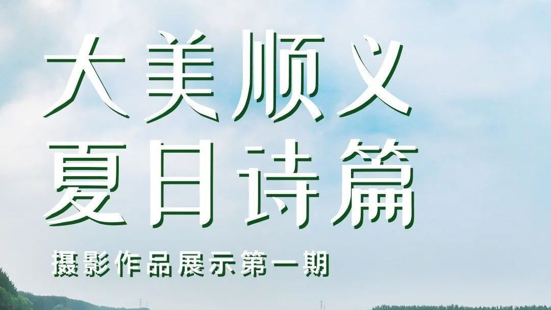 作品展示丨速戳！“大美顺义·夏日诗篇”摄影作品展示第一期来了→