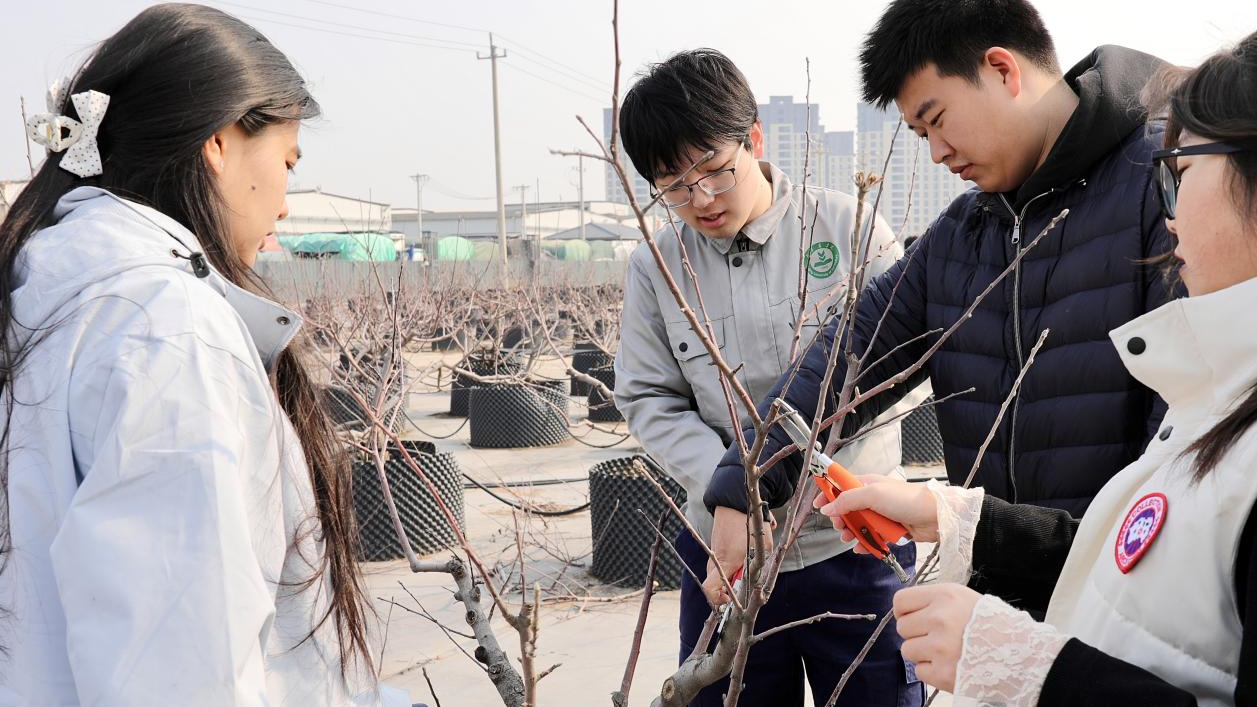 “植”此青绿 北农师生护木焕新