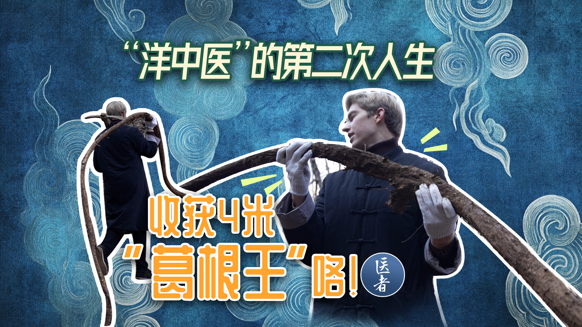 医者|“洋中医”的第二次人生 收获4米“葛根王”咯 医者|“洋中医”的第二次人生 收获4米“葛根王”咯