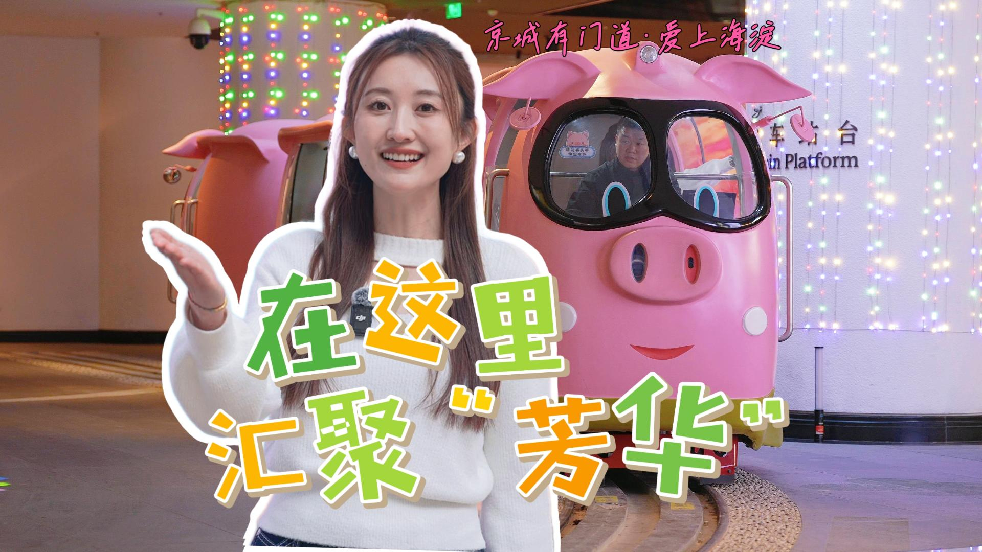 京城有门道•爱上海淀篇｜魏公•芳华里