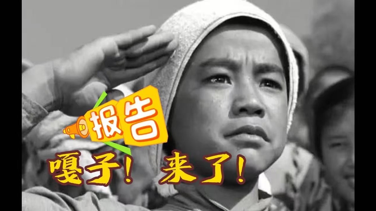 经典抗战电影慢直播——《小兵张嘎》