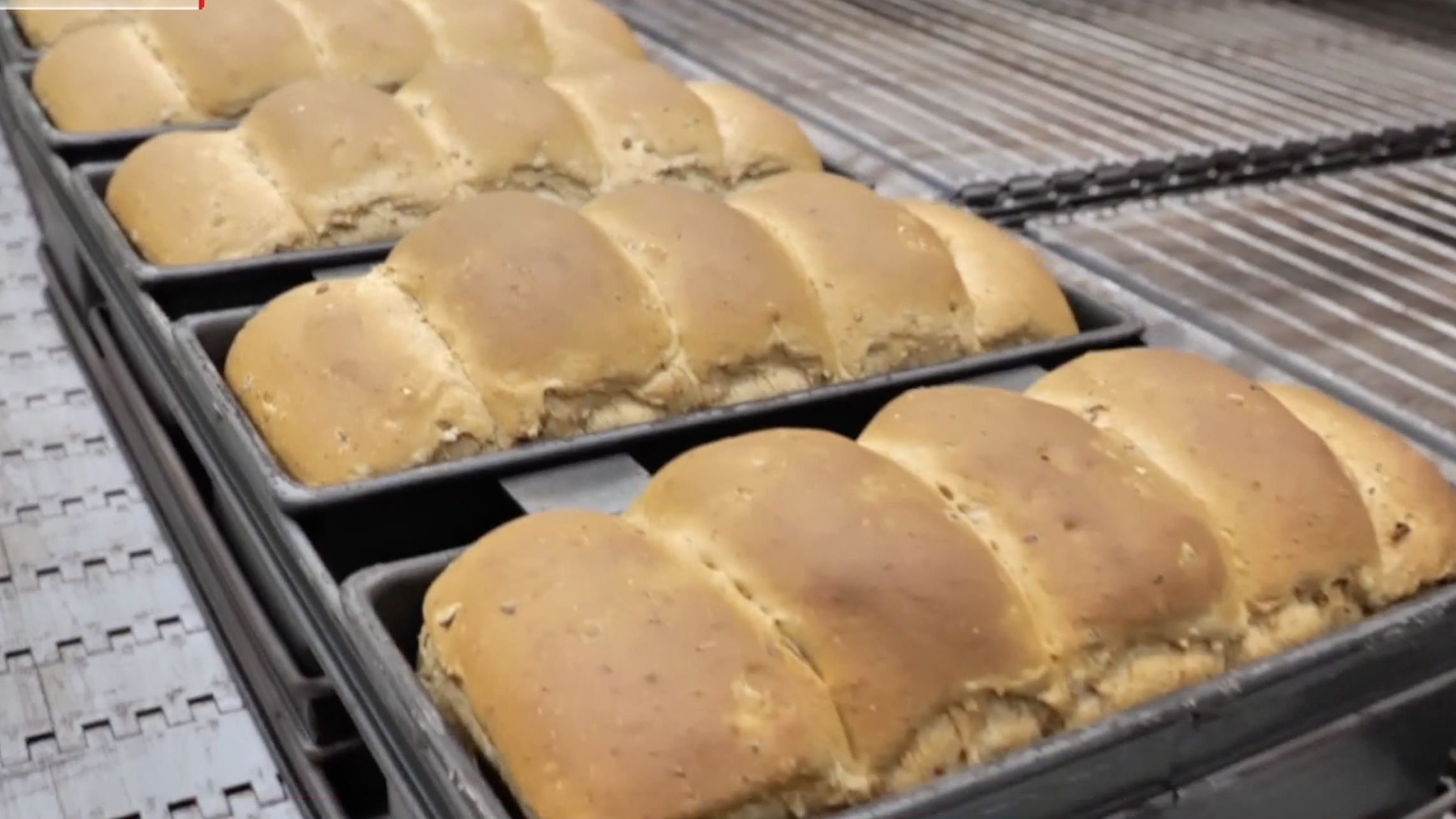 这个面包居然是低GI食品