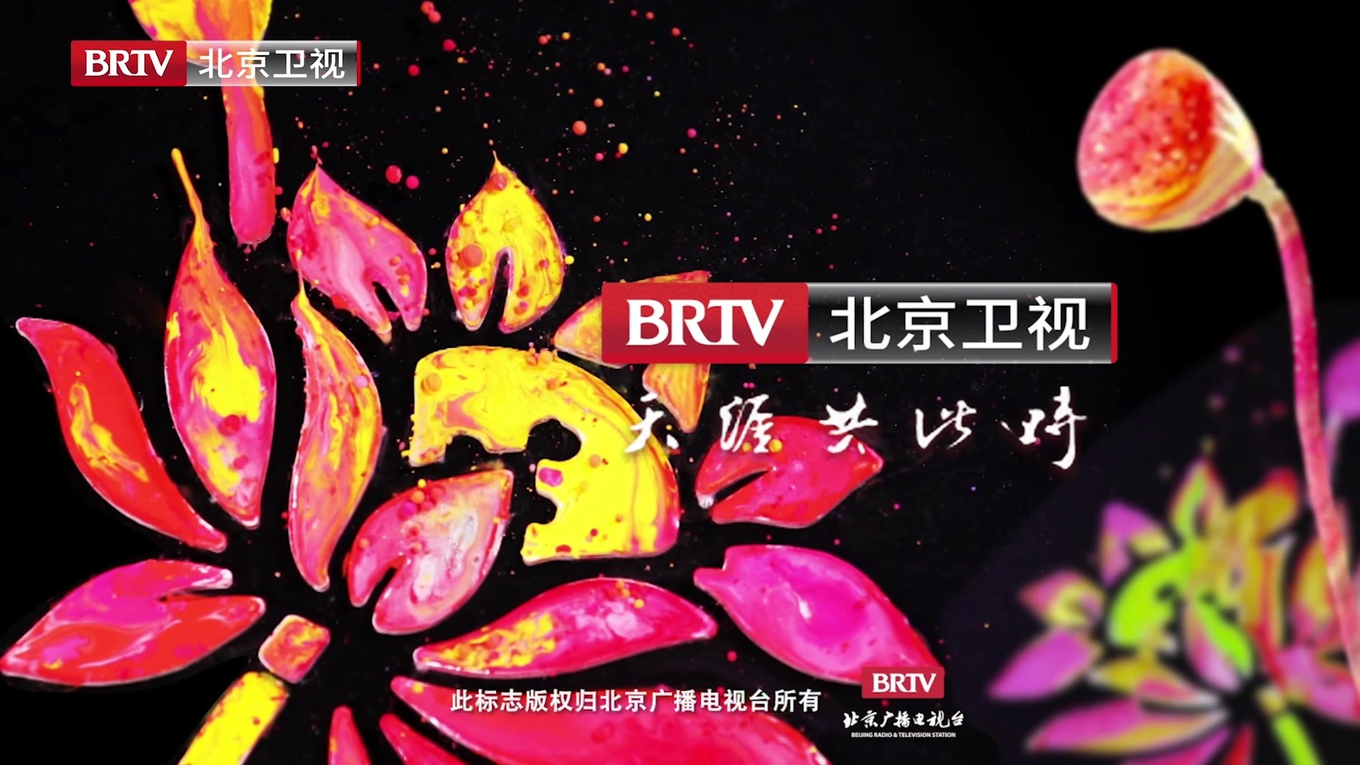 中华文明史诗纪录片《中华》第一部《龙的传人》第二集《玉灵》 中华文明史诗纪录片《中华》第一部《龙的传人》第二集《玉灵》