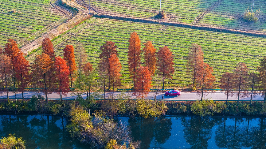 路越修越好、收入越来越高,农村公路铺就致富路 路越修越好、收入越来越高,农村公路铺就致富路
