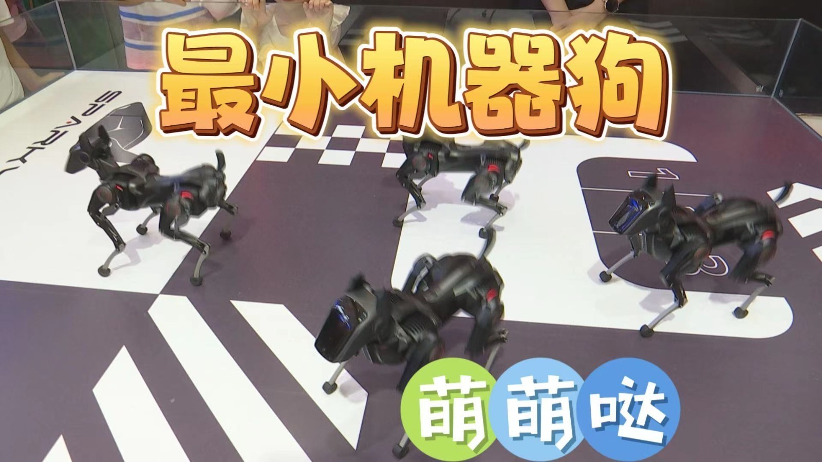 最小机器狗“哮天犬”世界机器人大会秀技能