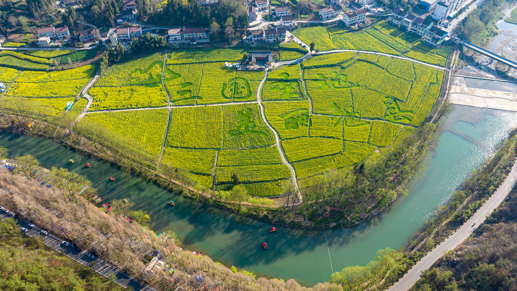 五一去哪儿丨追着花期去旅行,“赏花经济”绽放文旅新活力 五一去哪儿丨追着花期去旅行,“赏花经济”绽放文旅新活力