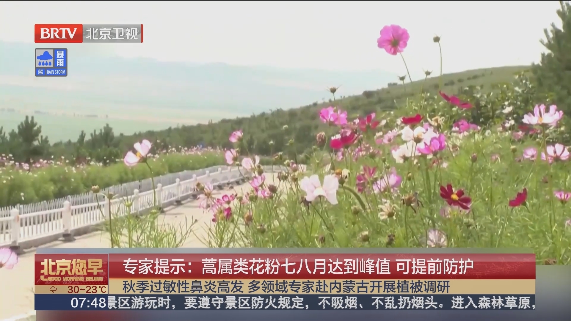 专家提示：蒿属类花粉七八月达到峰值 可提前防护