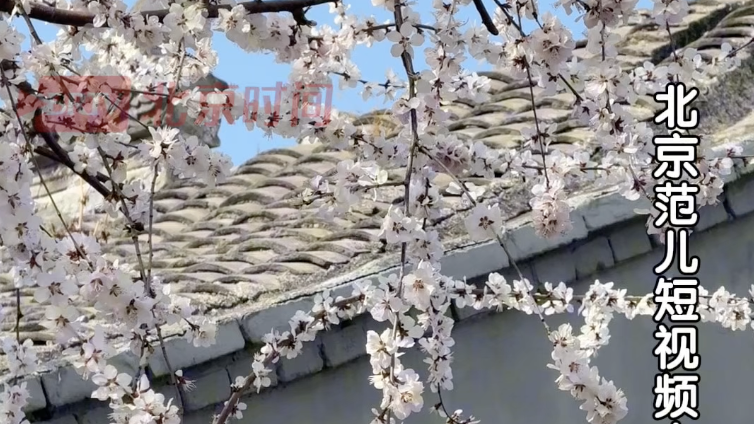 三里河公园藏着老北京的新浪漫 三里河公园藏着老北京的新浪漫