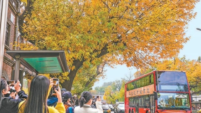 看北京的“秋色经济学”